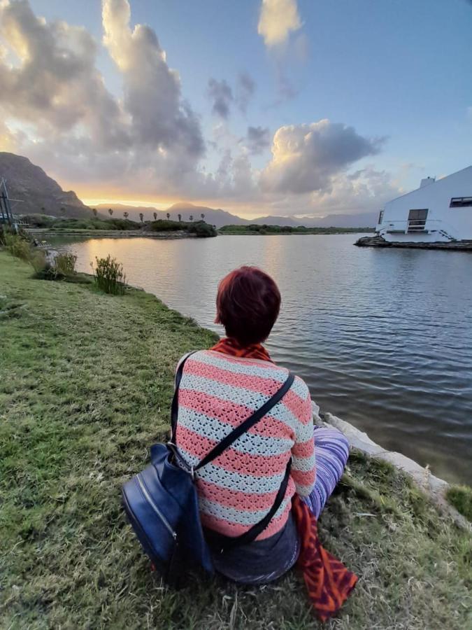 Vlei Cove Guesthouse Cape Town Exterior photo