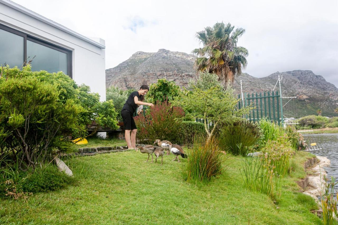 Vlei Cove Guesthouse Cape Town Exterior photo